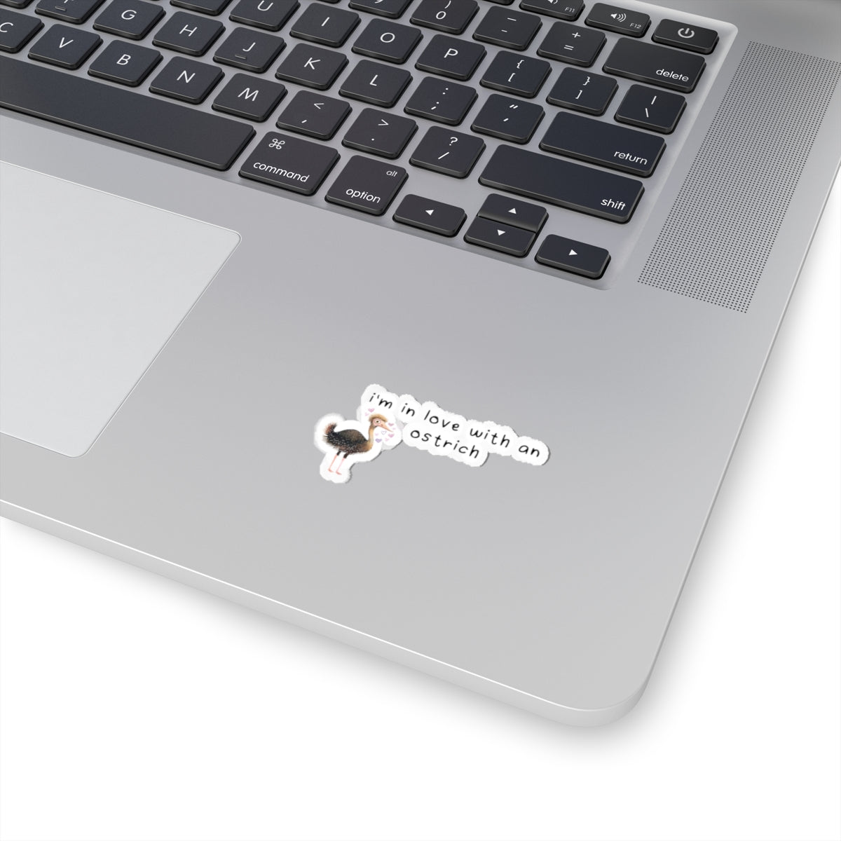 in love with an ostrich sticker